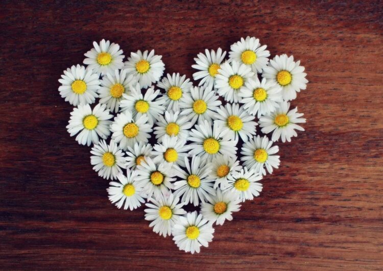 flowers-1-750x531-1